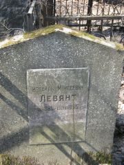 Левянт Израиль Моисеевич, Москва, Востряковское кладбище