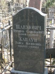 Шлемович Израиль Самойлович, Москва, Востряковское кладбище