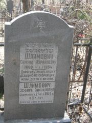 Шлимович Самуил Израйлевич, Москва, Востряковское кладбище