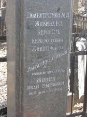 Живин Ефим , Москва, Востряковское кладбище