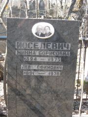 Иоселевич Минна Борисовна, Москва, Востряковское кладбище