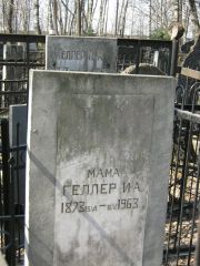Геллер И. А., Москва, Востряковское кладбище