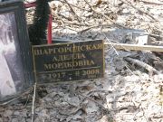 Шаргородская Аделла Мордковна, Москва, Востряковское кладбище