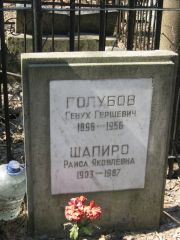 Голубов Генух Гершевич, Москва, Востряковское кладбище