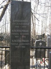 Клейнерман Израиль Наумович, Москва, Востряковское кладбище
