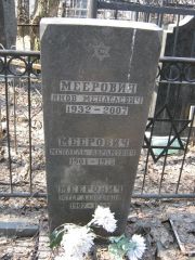 Меерович Яков Менделевич, Москва, Востряковское кладбище