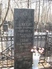 Палина Двойра Вульфовна, Москва, Востряковское кладбище