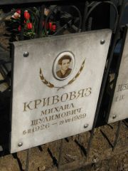 Кривовяз Михаил Шулимович, Москва, Востряковское кладбище