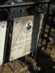Спектор Израиль Гдальевич, Москва, Востряковское кладбище