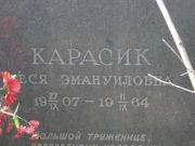 Карасик Песя Эмануиловна, Москва, Востряковское кладбище