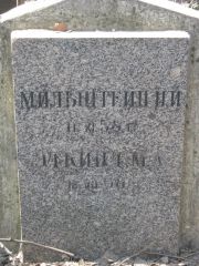 Мильштейн Н. И., Москва, Востряковское кладбище