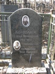 Корнблюм Елена Яковлевна, Москва, Востряковское кладбище