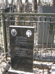 Дворкин Анатолий Давидович, Москва, Востряковское кладбище