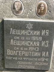 Волгерштейн И. А., Москва, Востряковское кладбище