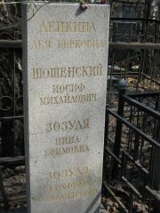Лейкина Лея Берковна, Москва, Востряковское кладбище