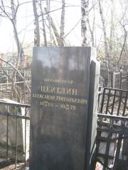 Цейтлин Александр Григорьевич, Москва, Востряковское кладбище