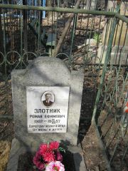 Злотник Роман Ефимович, Москва, Востряковское кладбище