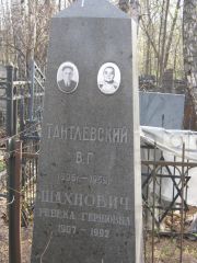 Шахнович Ревека Гершовна, Москва, Востряковское кладбище