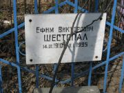 Шестопал Ефим Викторович, Москва, Востряковское кладбище
