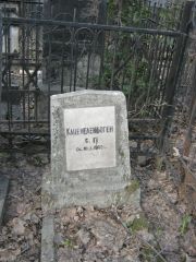 Каценеленбоген С. Г., Москва, Востряковское кладбище