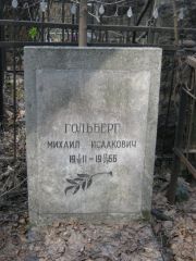 Гольберг Михаил Исаакович, Москва, Востряковское кладбище