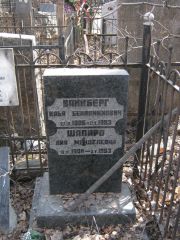 Шапиро Лея Менделевна, Москва, Востряковское кладбище
