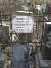 Финкель Броня Ноевна, Москва, Востряковское кладбище