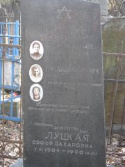 Луцкая Софья Захаровна, Москва, Востряковское кладбище