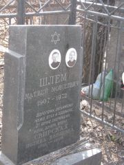 Шлем Матвей Моисеевич, Москва, Востряковское кладбище