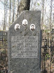 Левитина Хана Семеновна, Москва, Востряковское кладбище