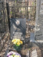 Левитин Матвей Моисеевич, Москва, Востряковское кладбище