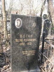 Коган Иосиф Израилевич, Москва, Востряковское кладбище