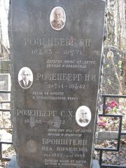 Розенберг Н. И., Москва, Востряковское кладбище