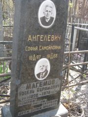 Ангелевич Софья Самойловна, Москва, Востряковское кладбище