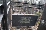 Розин Николай Наумович, Москва, Востряковское кладбище
