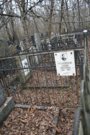 Балакирский Самуил Борисович, Москва, Востряковское кладбище