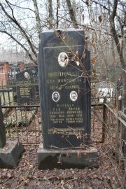 Шейнман Год Наумович, Москва, Востряковское кладбище