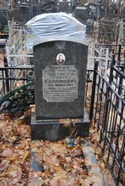 Каплунович Лев Моисеевич, Москва, Востряковское кладбище