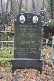 Розенберг С Я, Москва, Востряковское кладбище