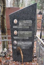 Генина Анна Львовна, Москва, Востряковское кладбище