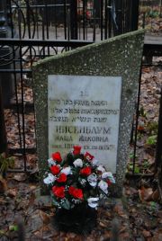 Нисенбаум Маша Ицковна, Москва, Востряковское кладбище