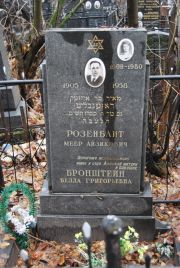 Розенблит Меер Айзикович, Москва, Востряковское кладбище