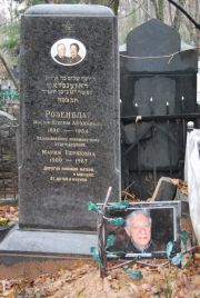 Розенблат Иосиф-Шулим Айзикович, Москва, Востряковское кладбище