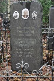 Канцельсон Илья Семенович, Москва, Востряковское кладбище