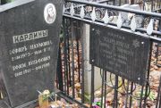 Карлин Борис , Москва, Востряковское кладбище