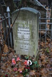 Минкин А В, Москва, Востряковское кладбище