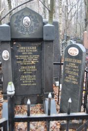 Линецкий Семен Наумович, Москва, Востряковское кладбище
