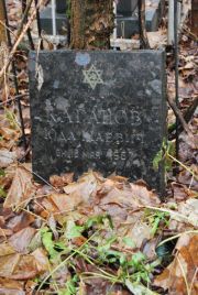 Каганов Юда Шаевич, Москва, Востряковское кладбище