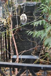 Замберг Давид Аронович, Москва, Востряковское кладбище