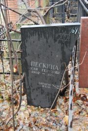 Пескина Зисля Генуховна, Москва, Востряковское кладбище